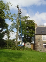  toppling the top